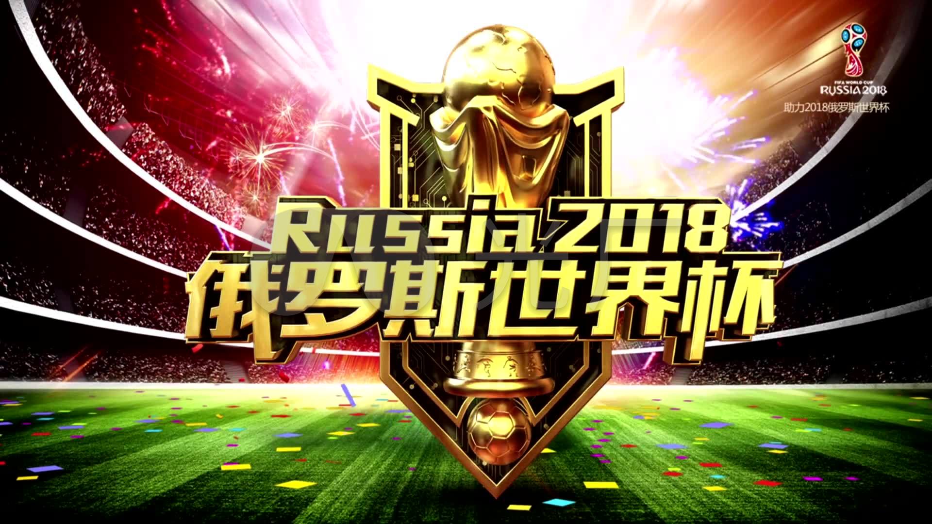 与教练团队